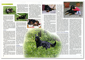 Nemzetkzi Kutyamagazin - 2010. jniusi szma