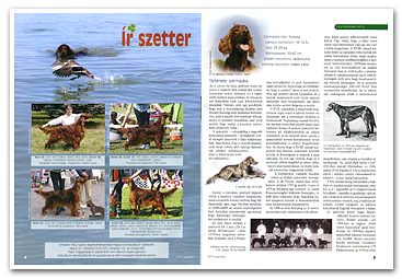 Nemzetkzi Kutyamagazin - 2010. augusztusi szma