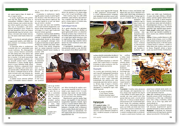 August copy of the International Dog Magazine